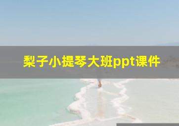 梨子小提琴大班ppt课件