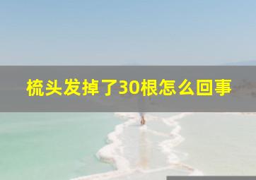 梳头发掉了30根怎么回事