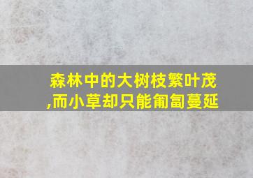 森林中的大树枝繁叶茂,而小草却只能匍匐蔓延