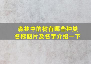 森林中的树有哪些种类名称图片及名字介绍一下