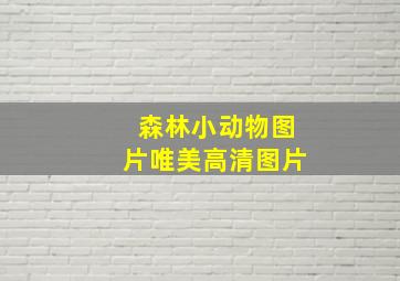 森林小动物图片唯美高清图片