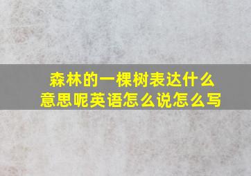 森林的一棵树表达什么意思呢英语怎么说怎么写