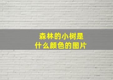 森林的小树是什么颜色的图片