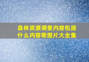 森林资源调查内容包括什么内容呢图片大全集