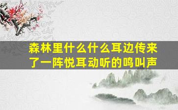 森林里什么什么耳边传来了一阵悦耳动听的鸣叫声