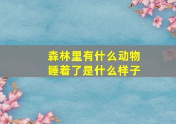 森林里有什么动物睡着了是什么样子