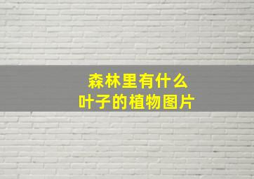 森林里有什么叶子的植物图片