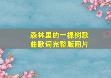 森林里的一棵树歌曲歌词完整版图片