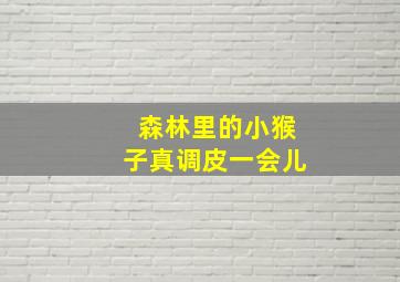 森林里的小猴子真调皮一会儿