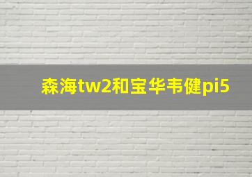 森海tw2和宝华韦健pi5