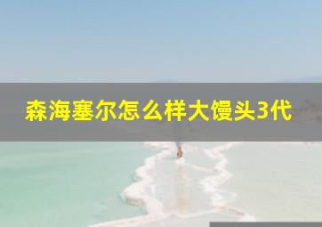 森海塞尔怎么样大馒头3代