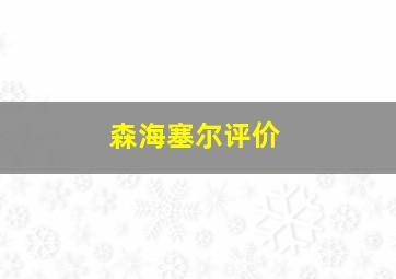 森海塞尔评价