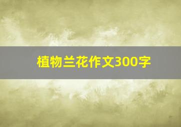 植物兰花作文300字