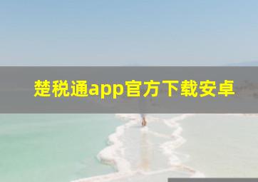 楚税通app官方下载安卓