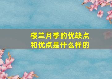 楼兰月季的优缺点和优点是什么样的