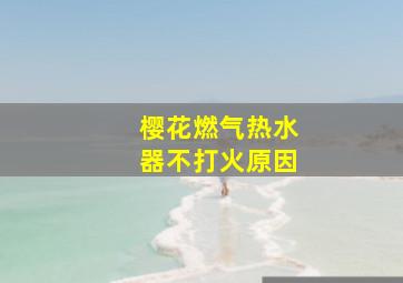 樱花燃气热水器不打火原因