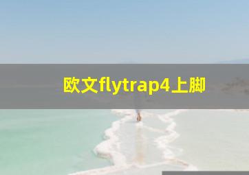 欧文flytrap4上脚