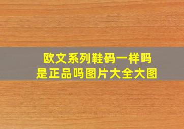 欧文系列鞋码一样吗是正品吗图片大全大图