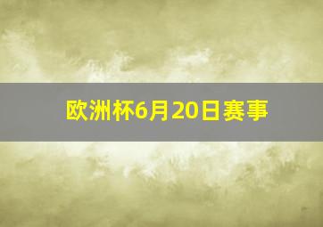 欧洲杯6月20日赛事