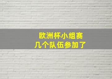 欧洲杯小组赛几个队伍参加了