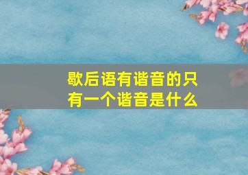 歇后语有谐音的只有一个谐音是什么