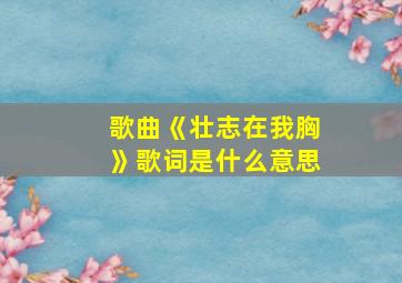 歌曲《壮志在我胸》歌词是什么意思