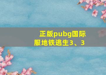 正版pubg国际服地铁逃生3、3