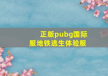 正版pubg国际服地铁逃生体验服