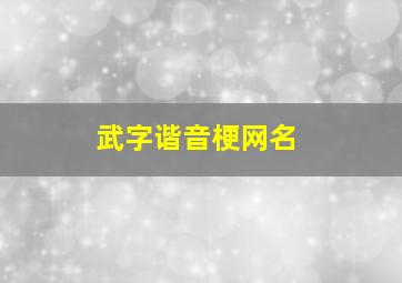 武字谐音梗网名