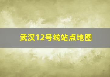 武汉12号线站点地图