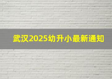 武汉2025幼升小最新通知