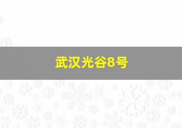 武汉光谷8号