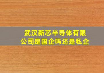 武汉新芯半导体有限公司是国企吗还是私企