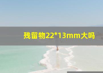 残留物22*13mm大吗