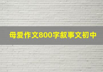 母爱作文800字叙事文初中