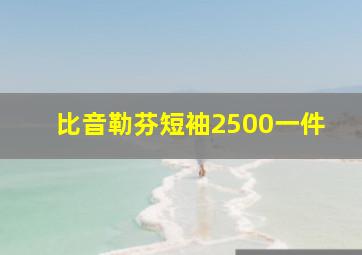 比音勒芬短袖2500一件