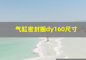 气缸密封圈dy160尺寸