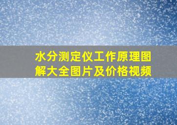 水分测定仪工作原理图解大全图片及价格视频