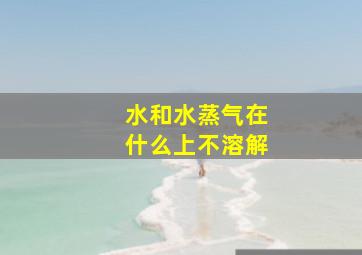 水和水蒸气在什么上不溶解