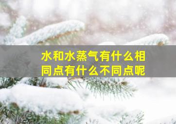 水和水蒸气有什么相同点有什么不同点呢