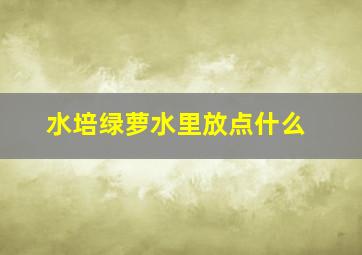 水培绿萝水里放点什么