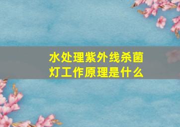 水处理紫外线杀菌灯工作原理是什么