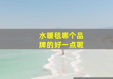 水暖毯哪个品牌的好一点呢