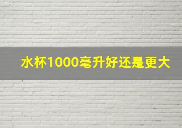 水杯1000毫升好还是更大