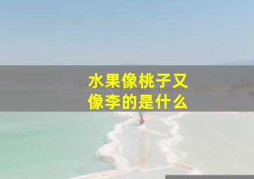 水果像桃子又像李的是什么