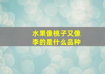 水果像桃子又像李的是什么品种