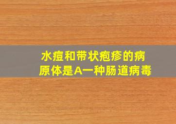 水痘和带状疱疹的病原体是A一种肠道病毒