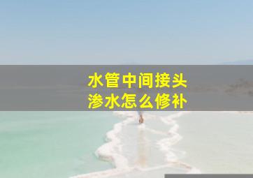 水管中间接头渗水怎么修补