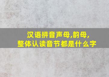 汉语拼音声母,韵母,整体认读音节都是什么字