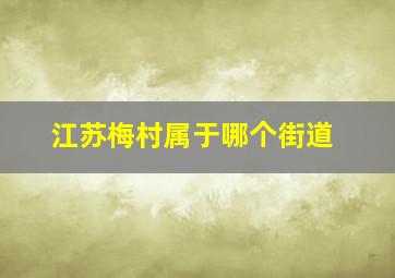 江苏梅村属于哪个街道